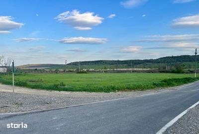 Teren de 10900 mp, în Bălțați - 8