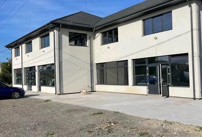 Spațiu comercial, de 300 mp, în Osica de Sus - 3