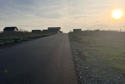 Teren de 5000 mp, în Belciugatele - 1