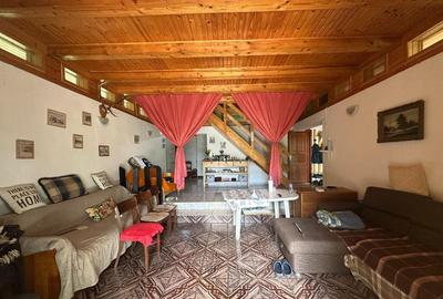 VIGAFON - Casa 4 camere Homoraciu - 4