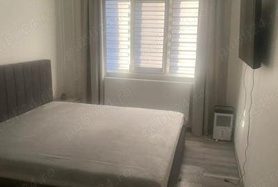 Apartament cu 2 camere semidecomandat în Brazda lui Novac - 3