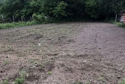 Casă cu 4 camere cu Teren 2300 Mp în Stângăceaua - 1