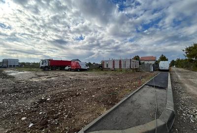 Mogosoaia teren Mogosoaia teren - 3