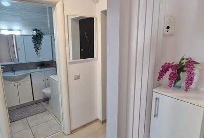 Apartament 2 camere tip studio-Chiajna I Str. Tineretului I Loc parcare - 12