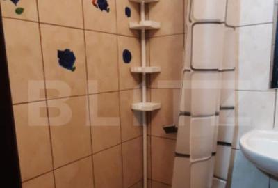 Garsoniera de inchiriat, 20 mp, zona Carpati II - 4