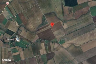 Teren de 15000 mp, în Salca - 3