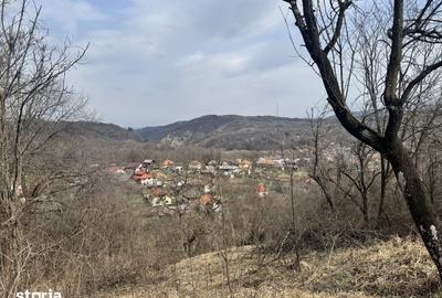 Teren de 4830 mp, în Godeni - 3