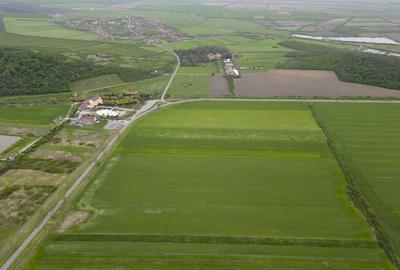 Teren extravilan de 22500mp Zona Ineu - 5