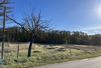 Teren Construcții extravilan de 1300 mp, în Bucovăț - 2