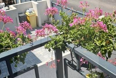 Vila 4 camere Tunari I noua, mobilata I zona centrala Parc Primarie - 18
