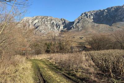 Spațiu comercial, în Rimetea - 3