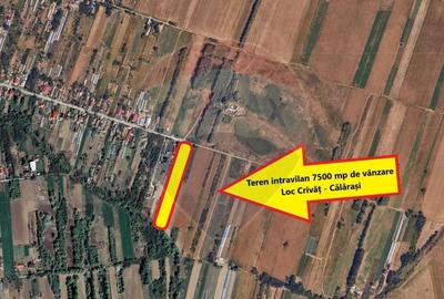 Teren 7500 mp de vanzare Crivat, str. Dulciata Ion, jud. Calarasi - 1