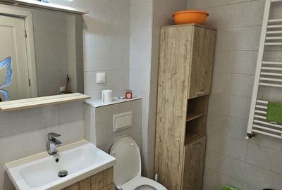 Apartament cu 2 camere decomandat în Valea Lupului - 8
