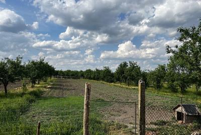 Casă cu 4 camere în Firiteaz - 3