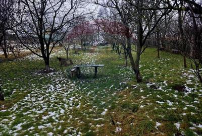 Teren Construcții intravilan de 4516 mp, în Doina - 35