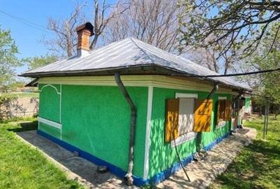 Casă cu 4 camere cu Teren 1828 Mp în Drăcșenei - 6