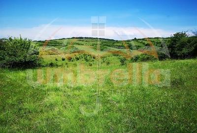 Teren de vanzare in  Zona Gheorgheni 5.800mp