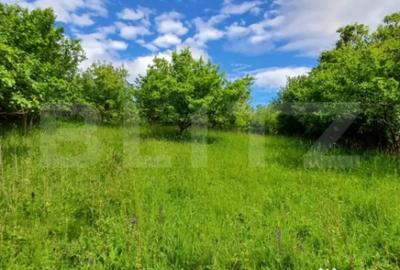 Casă cu 4 camere cu Teren 4873 Mp în Moldovenești - 4