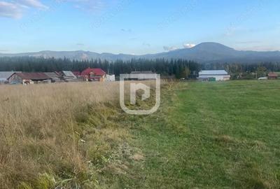 Teren intravilan Poiana Stampei Teren intravilan Poiana Stampei - 2