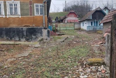 Casă cu 3 camere cu Teren 3629 Mp în Boian - 3