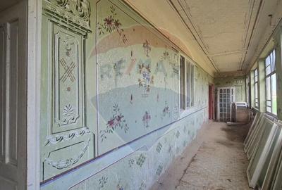 Casă individuală cu 3 camere cu Teren 7290 Mp în Socodor - 27