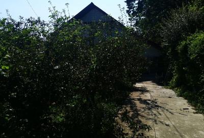 Casa P+E, Trivale, teren 930mp - 4