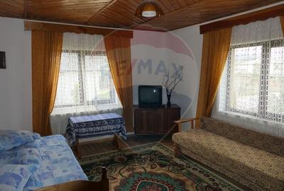 Casă individuală cu 9 camere cu Canalizare în Central - 10