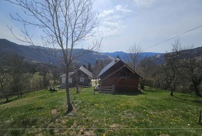 Casă cu 2 camere în Albac - 3