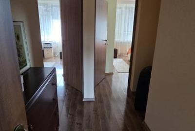 Casa spatioasa cu piscina, crama si teren generos – zona Aurel Vlaicu - 13