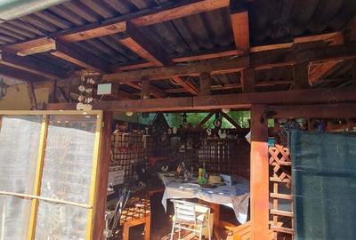 Vanzare casa cu anexa locuibila si teren - 8