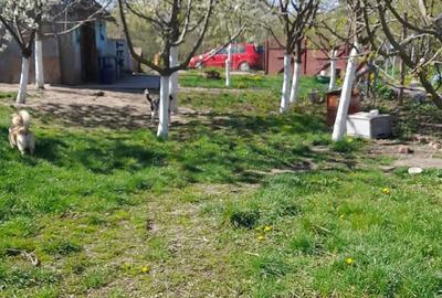 Casă cu 2 camere cu Teren 2870 Mp în Central - 3