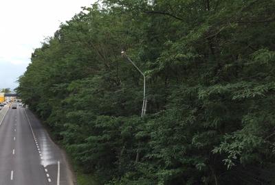 Teren Construcții intravilan de 24000 mp, în Corbeanca - 2