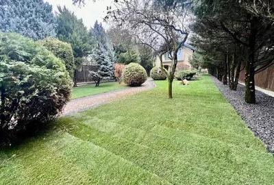 A 1607 De vanzare casa singur in curte in Tg Mure? - 7 Noiembrie - 5