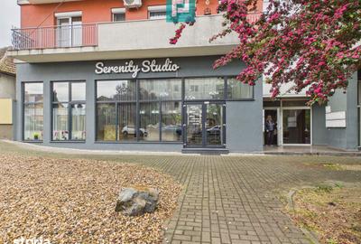 Spațiu comercial, de 135 mp, în Micălaca - 7