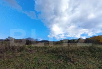 Oportunitate ! Teren intravilan, 1500 mp, sat LIvada , panor - 3