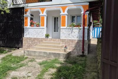 Casă cu 3 camere în Coman - 3