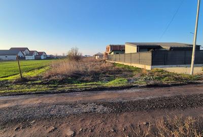 Casă cu 5 camere cu Teren 5000 Mp în Vidra - 13