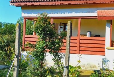 Casă cu 4 camere în Breasta - 3