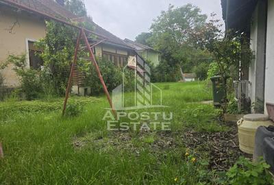 Proprietate cu potential turistic in Gurahont - 24