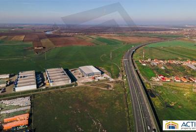 Hale de inchiriat in Arad - Str. Cornelia Bodea - 3