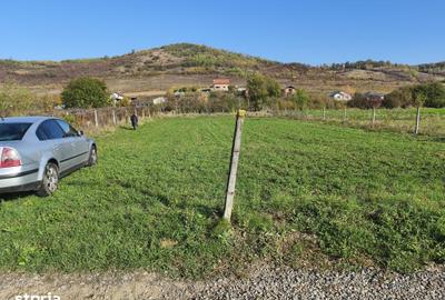 Teren de 1450 mp, în Livezeni