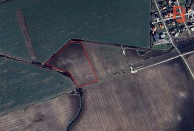 COMISION 0% Teren extravilan agricol 2ha, Sacalaz - 3