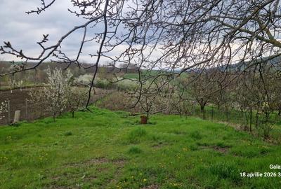 Spațiu comercial, în Bohotin - 7