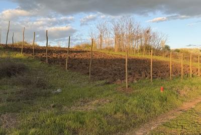 Spațiu comercial, în Valter Mărăcineanu - 7