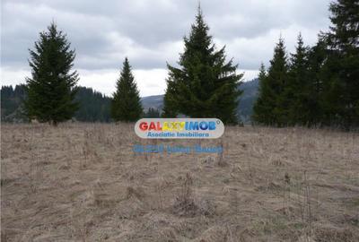 Teren pentru Complex Turistic - 12 730 mp - Vatra Dornei - 3