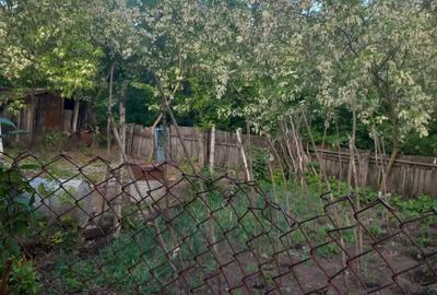 Casa batraneasca - 3