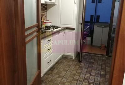 Apartament cu 3 camere semidecomandat, mobilat în Haliu - 10