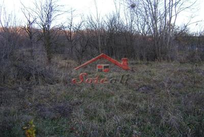 Teren de 2313 mp, în Cornu - 3