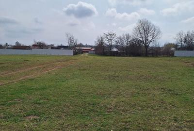 Teren de 17500 mp, în Central - 1