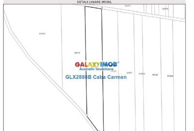 Teren extravilan de 25000 mp, în Nord - 5